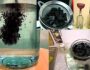 Качественная очистка самогона и спирта углем в домашних условиях. Как выбрать правильный уголь для очищения?