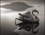 Танзания. Озеро, превращающее животных в статуи