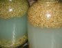 Рецепты приготовления браги на пшенице. Пророщенная пшеница для браги — пропорции и дрожжи