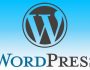 Оптимизация и настройка блога на WordPress для заработка