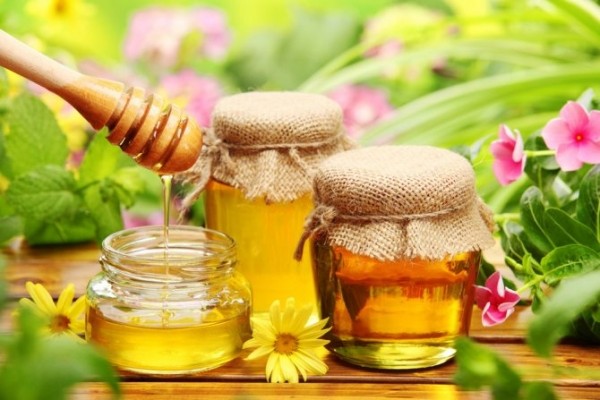 Особенности лечения остеохондроза медом, солью, пчелами