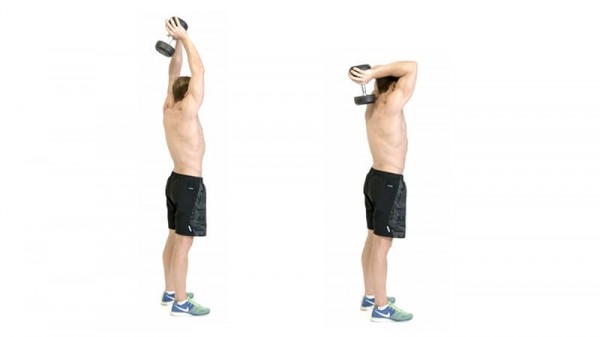 Как накачать трицепс: все самые эффективные упражнения для трехглавой мышцы плеча