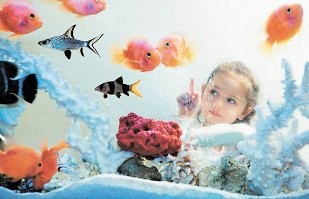 Как правильно чистить аквариум, мыть его стенки и дно