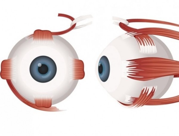 Двоение в глазах — как и чем можно нормализовать зрение при шейном остеохондрозе?