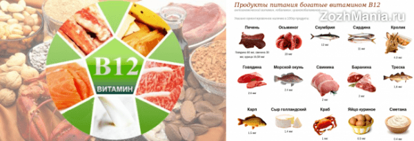 О том, в каких продуктах питания содержится витамин В12