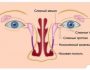 Носослезный канал: причины воспаления, признаки и лечение непроходимости