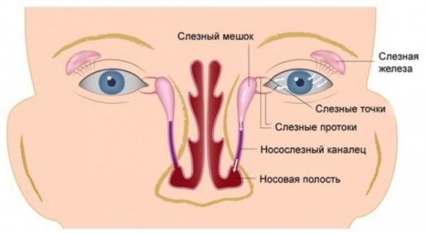 Носослезный канал: причины воспаления, признаки и лечение непроходимости