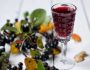 Рецепт вина из черноплодной рябины. Как сделать в домашних условиях пошагово?