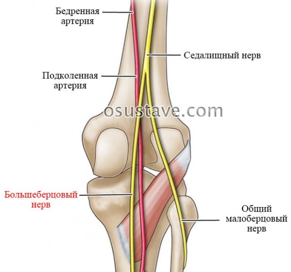 Почему возникает шишка под коленом сзади и спереди, диагностика, лечение