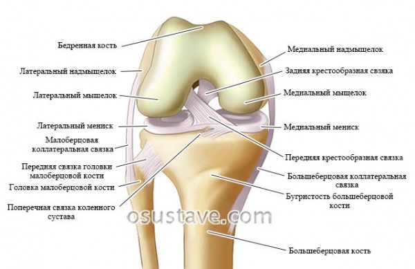 Симптомы и лечение разрыва связок коленного сустава (консервативное, операция)