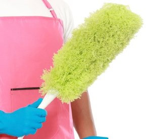Как помыть москитную сетку: полезные рекомендации по чистке москиток