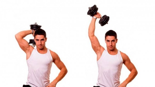 Как накачать трицепс: все самые эффективные упражнения для трехглавой мышцы плеча