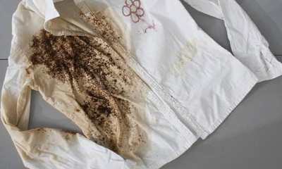 Как бережно и эффективно вывести плесень с ткани в домашних условиях?