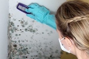 Как убрать плесень в ванной – дельные советы против грибка