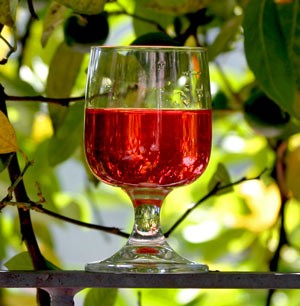 Снижаем кислотность вина. Что делать, если домашнее вино кислое?
