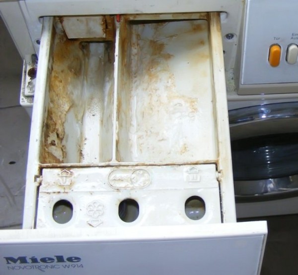 Чем отмыть лоток для порошка в стиральной машине