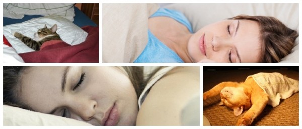 Традиционные и научные представления о том, в какую сторону нужно спать головой