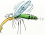 Почему уничтожить всех комаров на планете — плохая идея