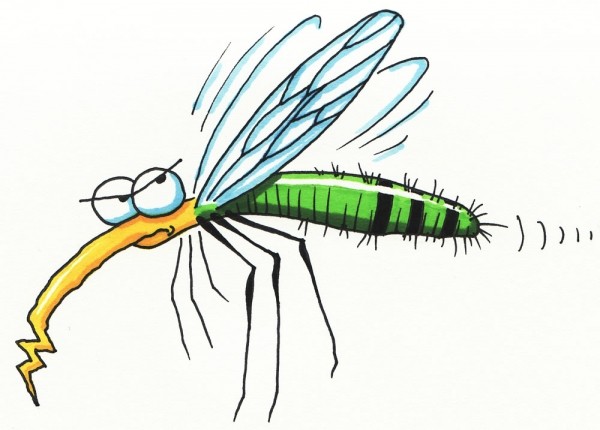 Почему уничтожить всех комаров на планете - плохая идея