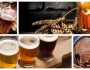 Пиво: влияние хмельного напитка на здоровье и нормы употребления