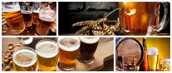 Пиво: влияние хмельного напитка на здоровье и нормы употребления