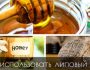 Чем полезен организму липовый мед