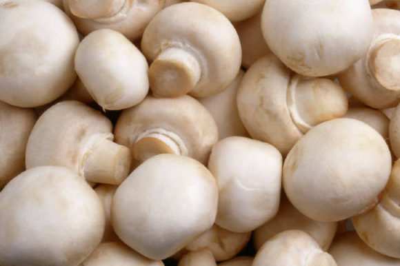 Можно ли есть чеснок, грибы (шампиньоны) и картошку при грудном вскармливании
