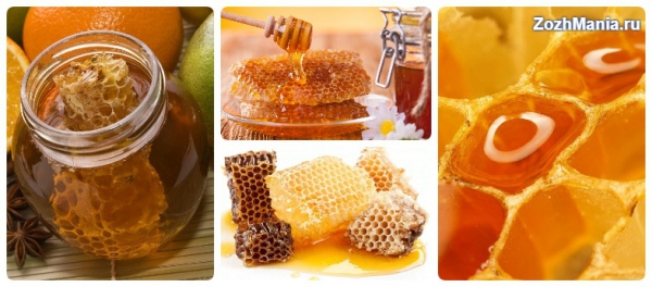 Зачем нашему организму нужны медовые соты