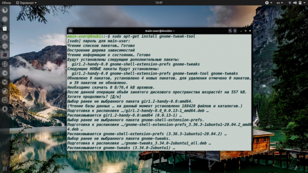Установка Gnome Tweak Tool в Ubuntu