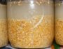 6 простых рецептов кукурузной браги для самогона из крупы крахмала и муки