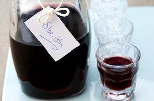 Рецепт тернового вина