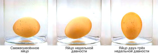 Можно ли перепелиные и куриные яйца при грудном вскармливании в первый месяц, польза