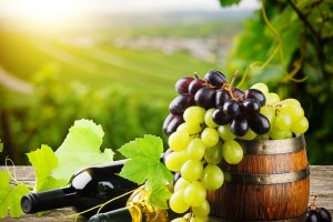 Сухое вино в домашних условиях — как правильно сделать и основные рецепты приготовления