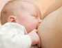 Правильное питание ребенка в 10-11 месяцев на грудном вскармливании по меню