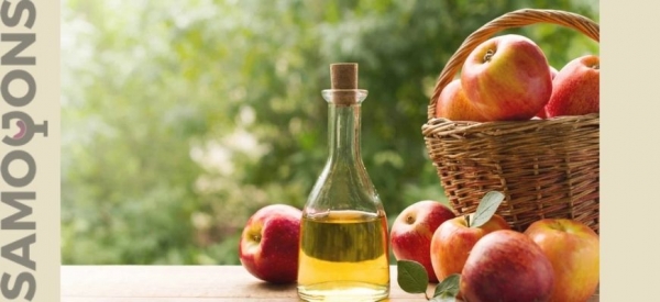 Домашнее вино из яблок – технология приготовления