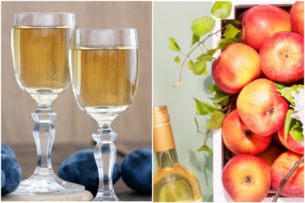 Как сделать вино из слив в домашних условиях — лучшие рецепты сливового вина