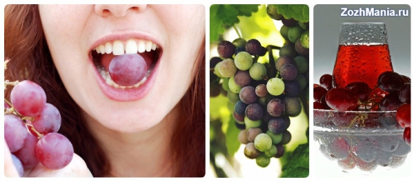 Какую пользу для здоровья дают красный виноград и его косточки