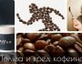 Воздействие кофеина на организм: польза, вред, безопасная дозировка