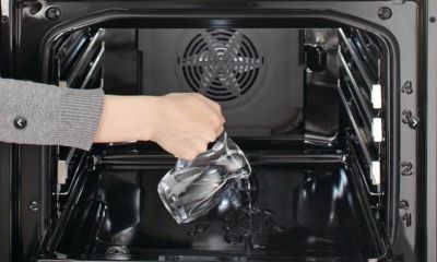 Что это такое — пиролитическая очистка духовки, как правильно ее проводят?