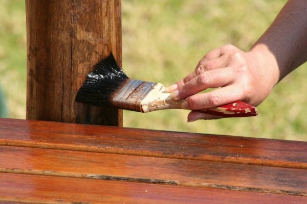Чем обработать древесину от грибка и плесени