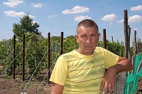Виноград Заря Несветая: описание сорта, фото, отзывы