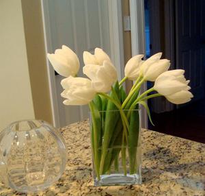 Основные правила сохранения срезанных тюльпанов в домашних условиях