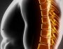 Причины и лечение болей в грудном отделе позвоночника