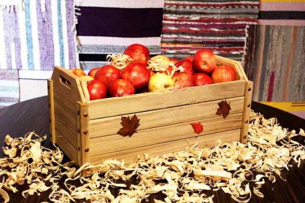 Способы хранения яблок дома на зиму