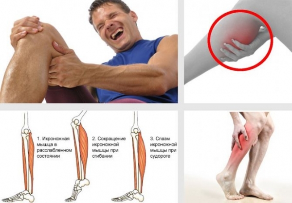Что делать когда дергается мышца на ноге выше колена спереди