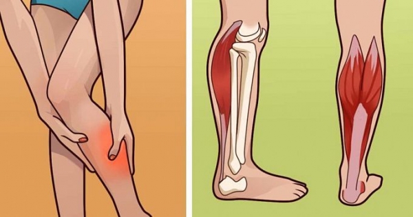 Что делать когда дергается мышца на ноге выше колена спереди