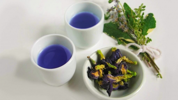 Полезные свойства синего тайского чая