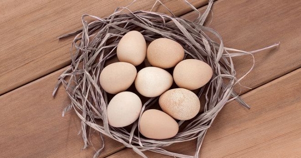 Яйца цесарки: в чем польза и вред, как правильно выбрать и приготовить, когда и как употреблять