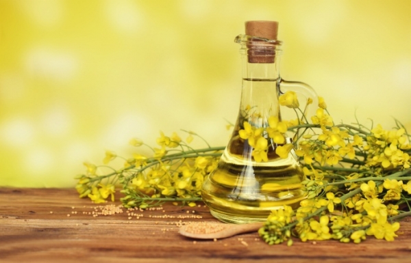 Растительные масла: в чем польза жирных кислот, список самых полезных растительных масел