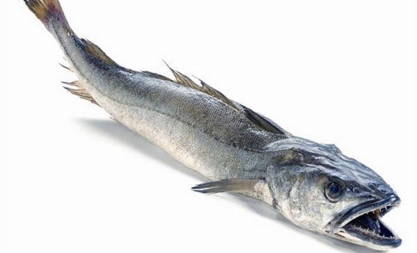 Свойства рыбы хек, ее состав, польза и вред для организма, правила выбора и приготовления